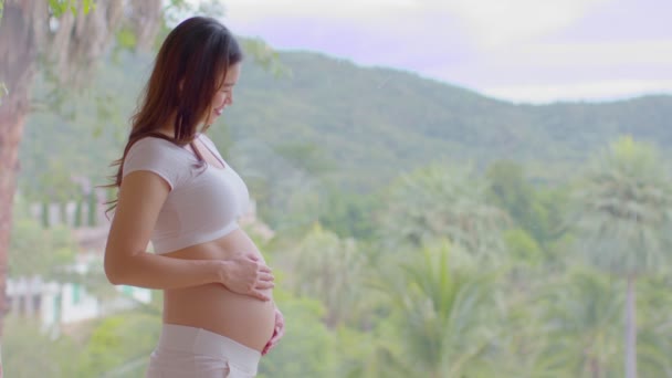 Happy Pregnant Woman Står Framför Naturen Bergsutsikt Och Smeka Sin — Stockvideo