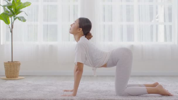 Calm Athletic Asian Woman Sportwear Practice Yoga Cat Cow Pose — Αρχείο Βίντεο