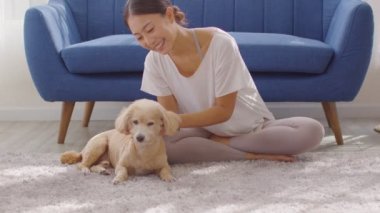 Sahibinin yaşlı bir köpeğin kafasını sevgiyle okşamasının portresi, kadının köpeği ile oynaması ve mutlu olması, Asyalı kadının köpeğine sarılıp gülümsemesi, evcil hayvan konseptiyle eğlenmesi.