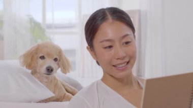 Güzel Asyalı genç bir kadın rahat yatak odasında köpekle kitap okuyor evde rahat ve rahat tatillerde köpek pug cinsi olan güzel bir kızın yeniden canlandırılması köpek evcil hayvan konseptiyle rahatlayın.