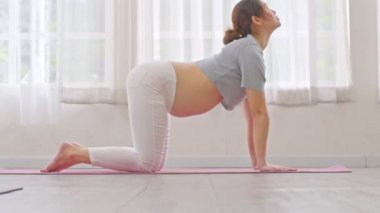 Mutlu Çekici Asyalı Hamile Kadın, Kedi İneği Pozu 'nu meditasyon için pratik yapıyor. Sabah büyük göbeğiyle gülümse ve rahatla. Hamile kadın yoga ve yoga ile nefes alıp veriyor ve sakinleşiyor.