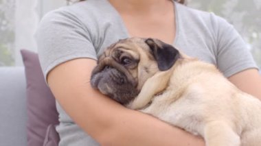 Kadın köpeğine sarılır ve köpek kafasını okşar. Kolunda uyur. Uyuyan köpek, sahibinin kolunda rahat eder. Sevimli köpek sevgiyle uyur ve evinde güvende olur..