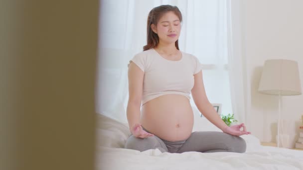 Happy Calm Femme Enceinte Respiration Profonde Avec Air Frais Faire — Video