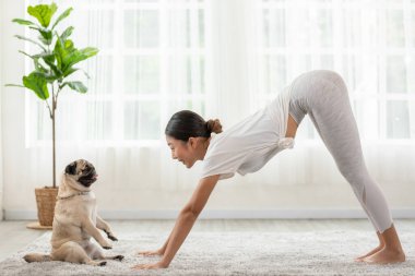 Kadın yogayı aşağı doğru uyguluyor köpekle ya da yogayla yüzleşiyor Adho Mukha Svanasana meditasyona poz veriyor ve köpek pug cinsini öpüyor yatak odasında yoga, köpek konseptiyle dinlenme ve dinlenme ile eğleniyor.