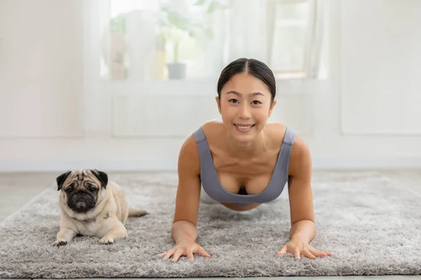 Wellness Азиатская Женщина Практикует Йогу Планк Медитации Собакой Породы Мопса — стоковое фото