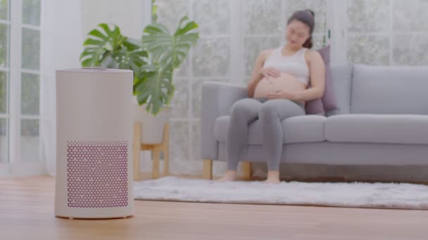 Air Purifier Living Room Clean Dust Fresh Air Pregnant Woman — Stock Video