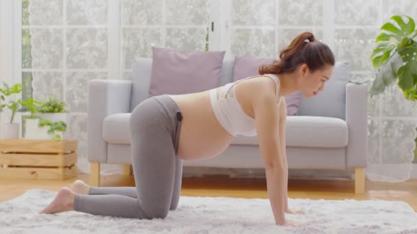 Happy Attractive Asian Gravid Kvinna Övar Kattko Pose Till Meditation — Stockvideo