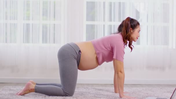 Happy Attractive Asian Pregnant Woman Practice Yoga Online Class Cat — Stock Video