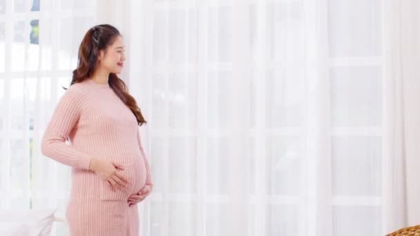 Happy Pregnant Woman Står Framför Fönster Och Smeker Sin Stora — Stockvideo