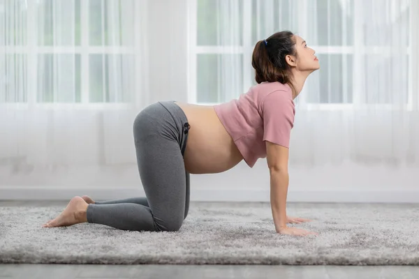 Gelukkig Aantrekkelijk Aziatisch Zwanger Vrouw Praktijk Kat Koe Pose Naar — Stockfoto