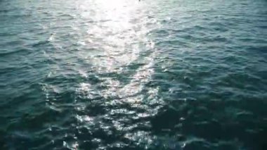Öğleden sonra güneş deniz yüzeyinde parlıyor, suyun altında yüzen insanlar var.