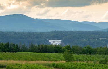 Montmorency Orleans adasındaki büyük şarap bahçesinden düşüyor. 