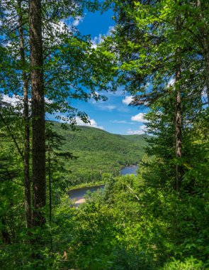 Awesome view from a verdant hill in Jacques Cartier National Park, Quebec province, Canada. Everything is green and mindblowing over here during summer