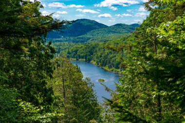 Awesome view from a verdant hill in Jacques Cartier National Park, Quebec province, Canada. Everything is green and mindblowing over here during summer