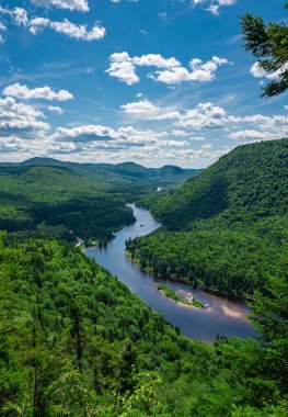 Awesome view from a verdant hill in Jacques Cartier National Park, Quebec province, Canada. Everything is green and mindblowing over here during summer clipart