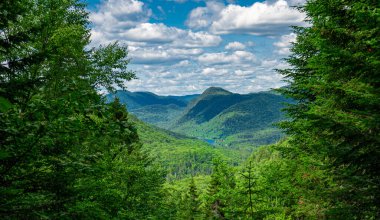 Awesome view from a verdant hill in Jacques Cartier National Park, Quebec province, Canada. Everything is green and mindblowing over here during summer