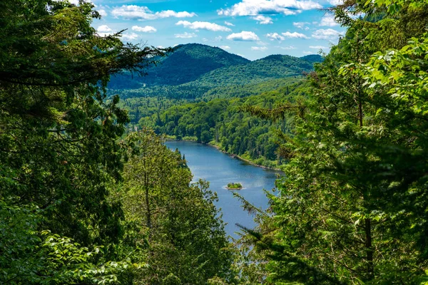 Awesome View Verdant Hill Jacques Cartier National Park Quebec Province — Foto de Stock