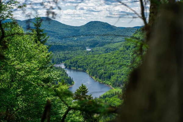 Awesome View Verdant Hill Jacques Cartier National Park Quebec Province — Foto de Stock