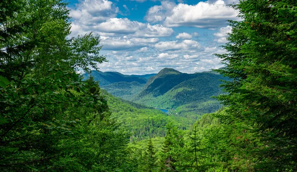 Awesome View Verdant Hill Jacques Cartier National Park Quebec Province — Foto Stock