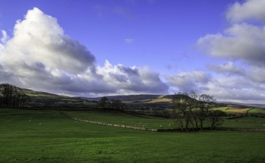 Yorkshire dales İngiltere'de