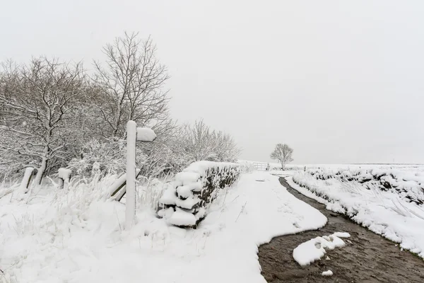 Platteland lane — Stockfoto