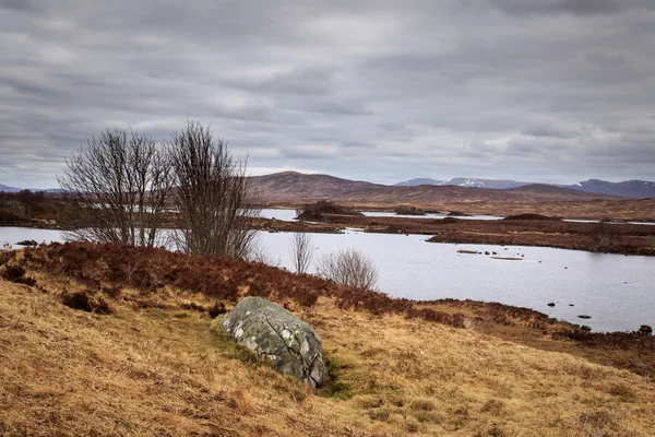 Rannoch Моор — стокове фото