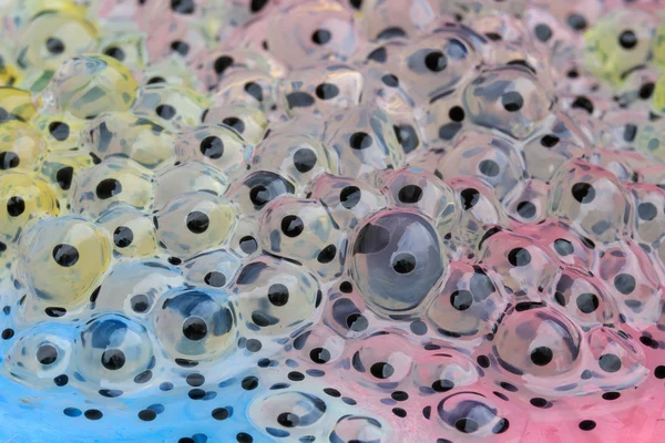 frogspawn