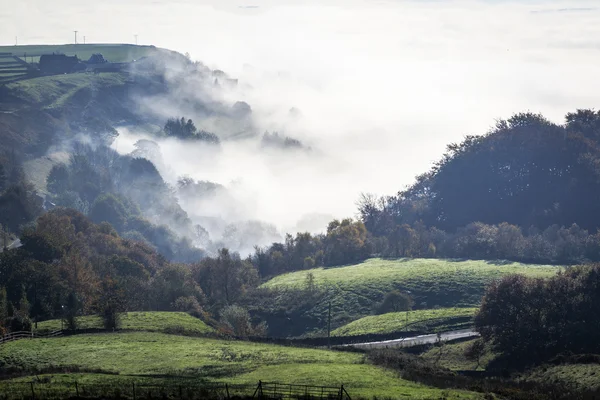 Brouillard de campagne — Photo