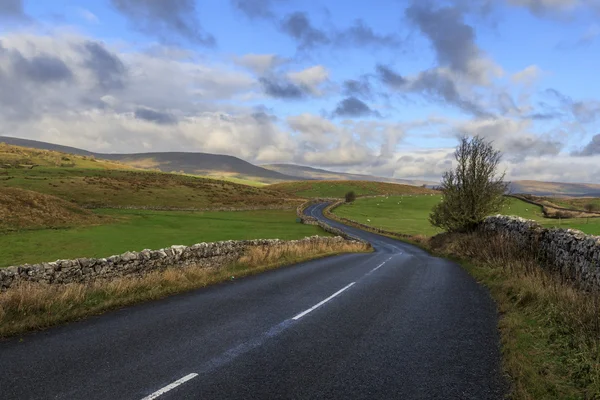 Yorkshire Dales Uk — Stockfoto