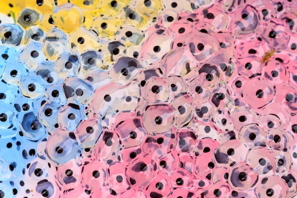 Frogspawn in colour — Stock Photo, Image