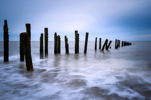 Groynes di legno sulla spiaggia — Foto Stock