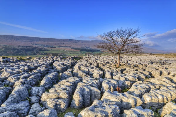 Pavimento de piedra caliza en los valles de yorkshire —  Fotos de Stock