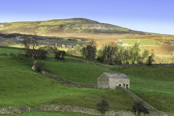 El Yorkshire brilla — Foto de Stock