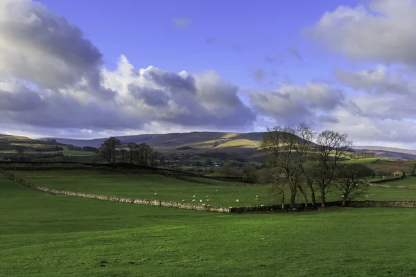 Die yorkshire dales — Stockfoto