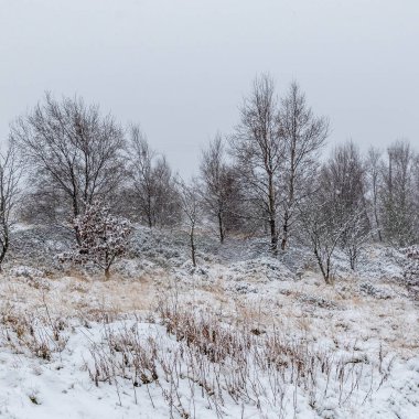 Kar tüm araziyi kaplıyor, Yorkshire UK