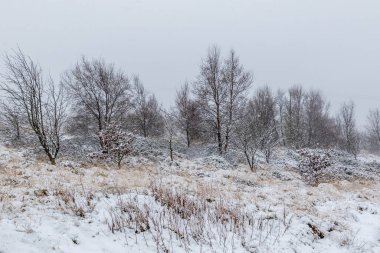 Kar tüm araziyi kaplıyor, Yorkshire UK