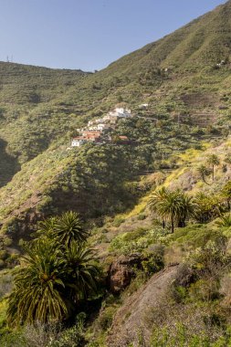 Tenerife, Kanarya Adaları 'nın en büyük ve en kalabalık adasıdır..