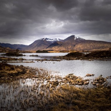 Rannoch Moor manzarası, İskoçya Dağları, İngiltere.
