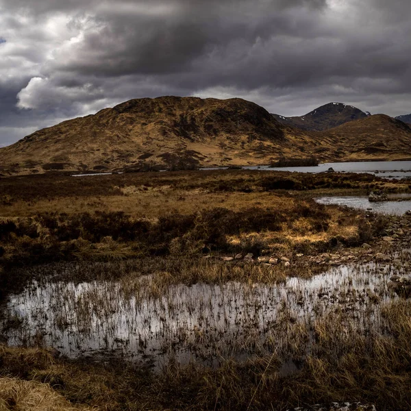 Rannoch Moor manzarası, İskoçya Dağları, İngiltere.