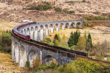 Glenfinnan Viaduct, İskoçya 'nın Inverness-shire eyaletinin Glenfinnan şehrinde yer alan bir demiryolu viyadülüdür.