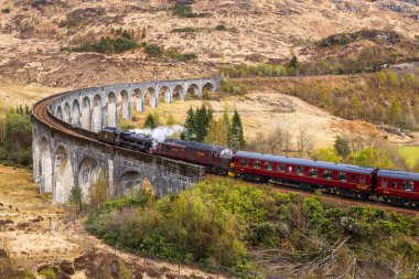 Glenfinnan Viaduct, İskoçya 'nın Inverness-shire eyaletinin Glenfinnan şehrinde yer alan bir demiryolu viyadülüdür.