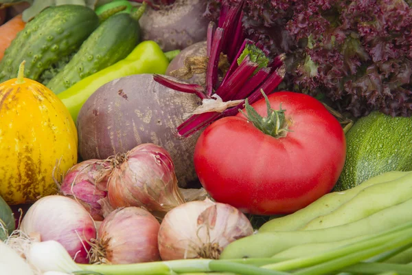 Légumes crus et mûrs — Photo