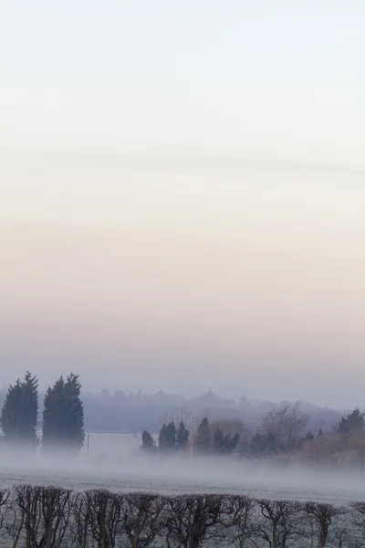 Cold and frosty morning — Stock Photo, Image