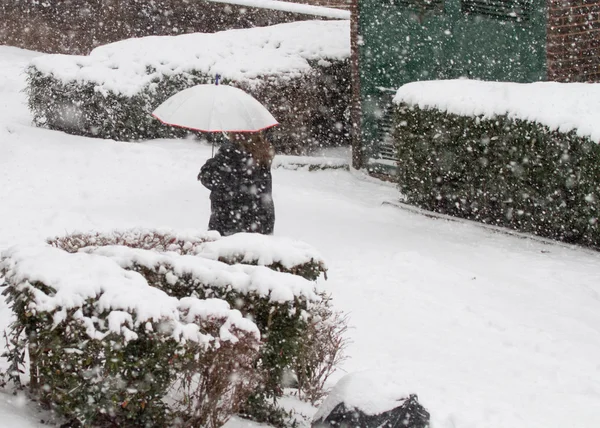 Vrouwen in de sneeuw — Stockfoto