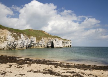 FLAMBOROUGH kafa