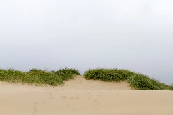 Zandduin — Stockfoto