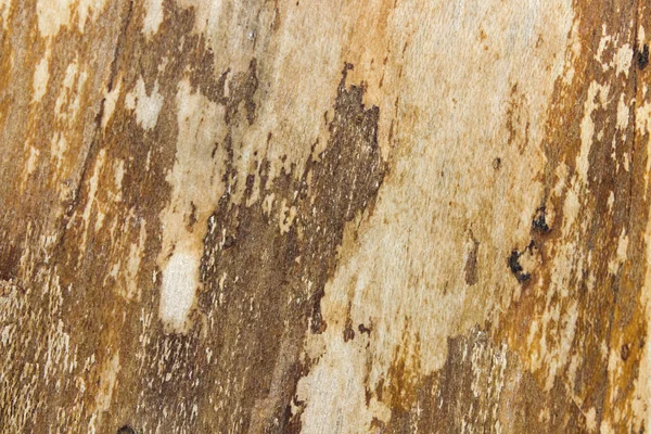 Legno marrone — Foto Stock