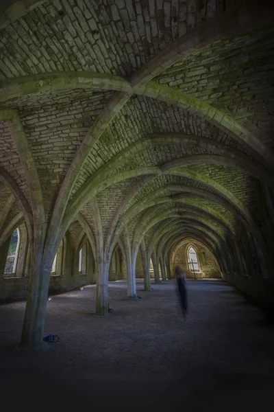 Fountains Abbey Cellarium ghost — Stockfoto