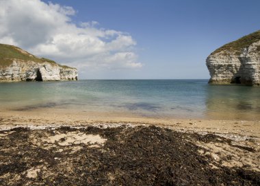 FLAMBOROUGH kafa