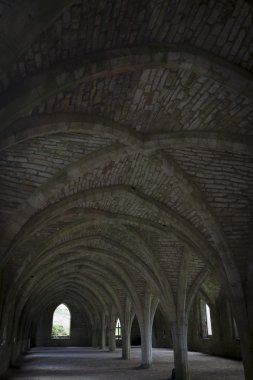 cellarium çeşmeler abbey